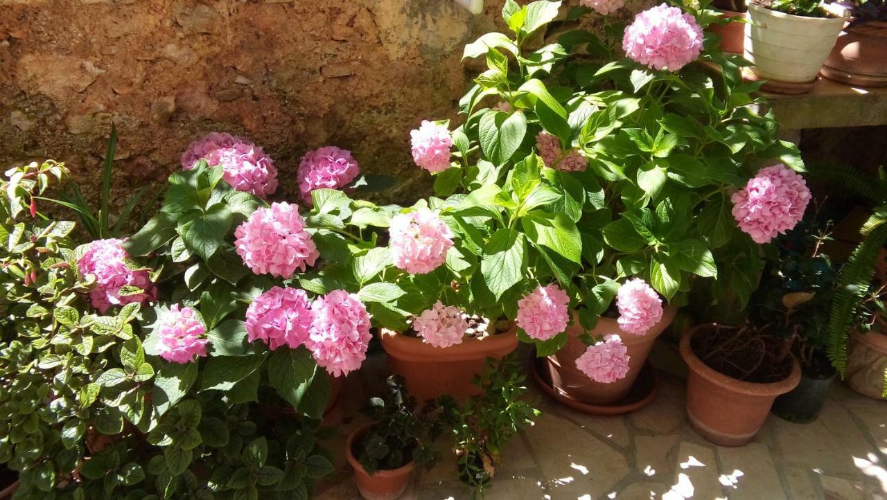 Guesthouse Wish Stari Grad  Zewnętrze zdjęcie